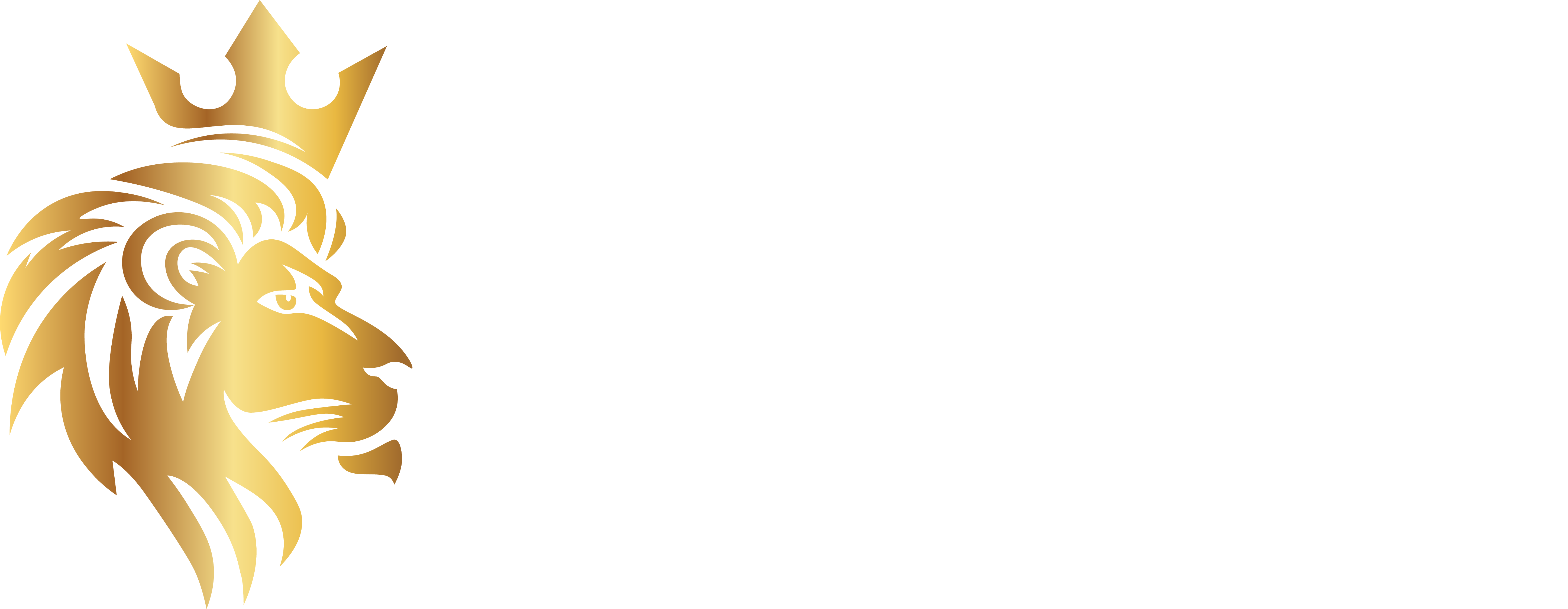 Pars media